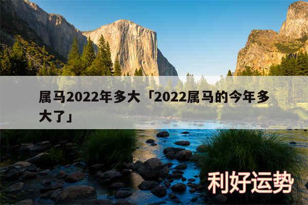 属马2024年多大及2024属马的今年多大了