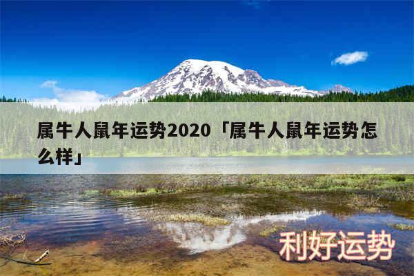 属牛人鼠年运势2020及属牛人鼠年运势怎么样