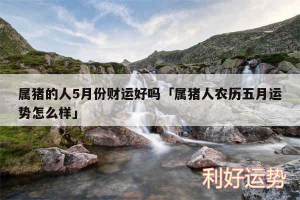 属猪的人5月份财运好吗及属猪人农历五月运势怎么样