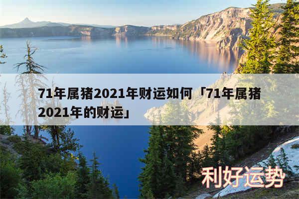 71年属猪2024年财运如何及71年属猪2024年的财运