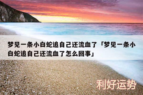 梦见一条小白蛇追自己还流血了及梦见一条小白蛇追自己还流血了怎么回事