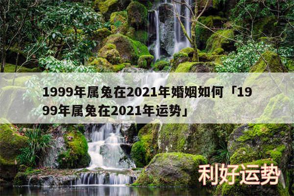 1999年属兔在2024年婚姻如何及1999年属兔在2024年运势