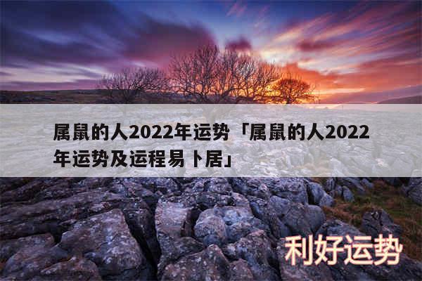 属鼠的人2024年运势及属鼠的人2024年运势及运程易卜居