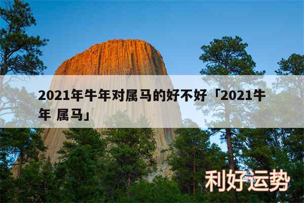 2024年牛年对属马的好不好及2024牛年 属马