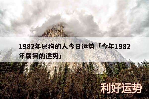 1982年属狗的人今日运势及今年1982年属狗的运势