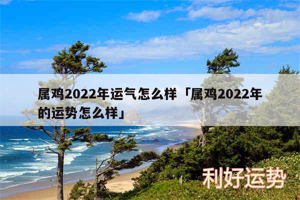 属鸡2024年运气怎么样及属鸡2024年的运势怎么样