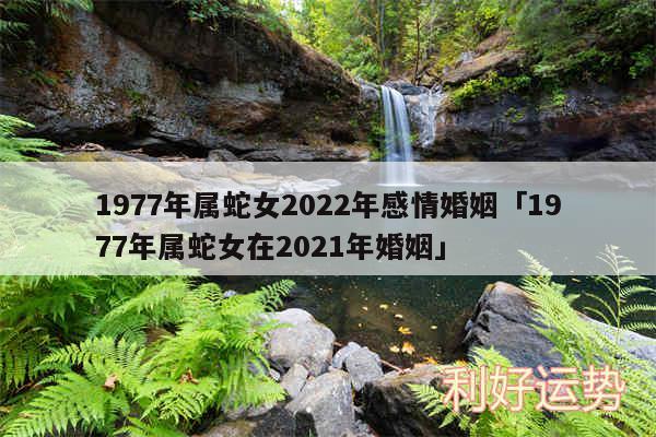 1977年属蛇女2024年感情婚姻及1977年属蛇女在2024年婚姻