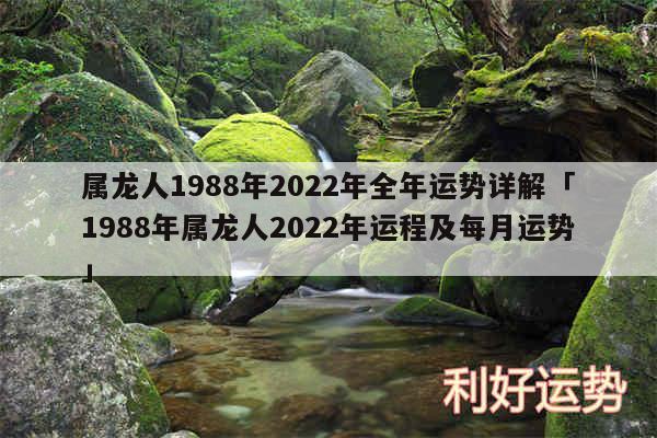 属龙人1988年2024年全年运势详解及1988年属龙人2024年运程及每月运势