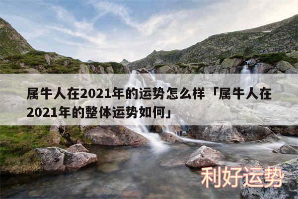 属牛人在2024年的运势怎么样及属牛人在2024年的整体运势如何