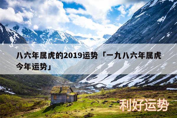 八六年属虎的2019运势及一九八六年属虎今年运势