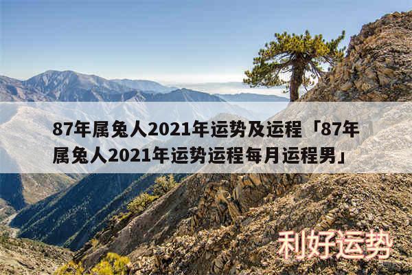 87年属兔人2024年运势及运程及87年属兔人2024年运势运程每月运程男