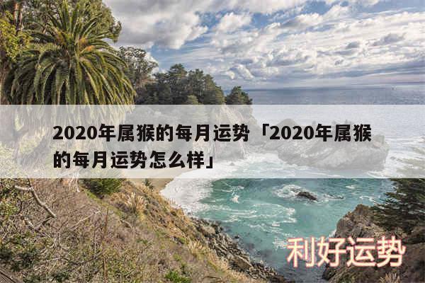 2020年属猴的每月运势及2020年属猴的每月运势怎么样