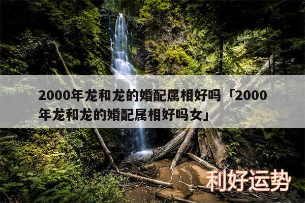 2000年龙和龙的婚配属相好吗及2000年龙和龙的婚配属相好吗女