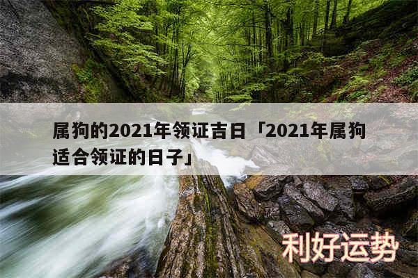 属狗的2024年领证吉日及2024年属狗适合领证的日子