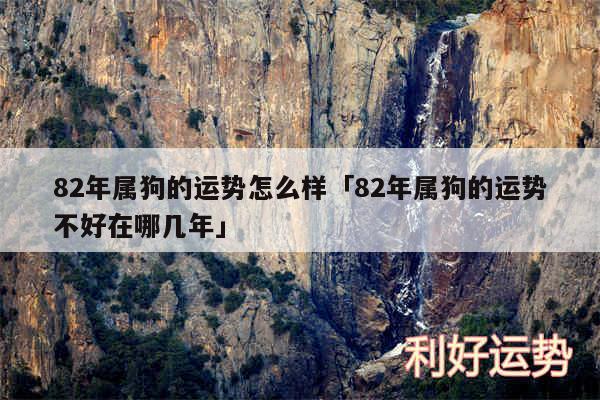 82年属狗的运势怎么样及82年属狗的运势不好在哪几年