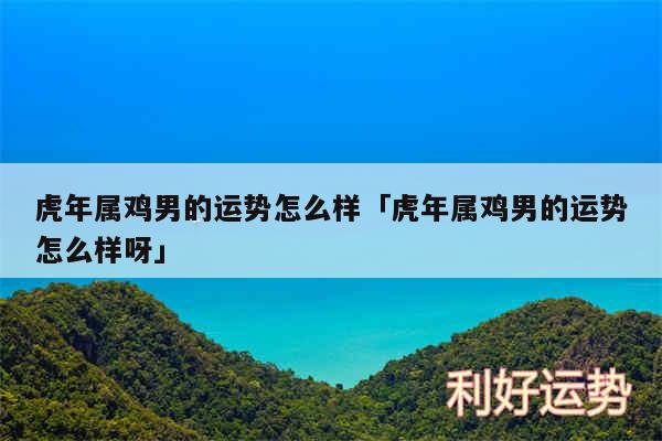 虎年属鸡男的运势怎么样及虎年属鸡男的运势怎么样呀