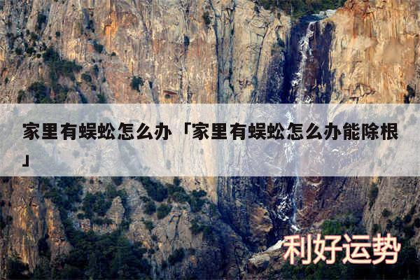 家里有蜈蚣怎么办及家里有蜈蚣怎么办能除根