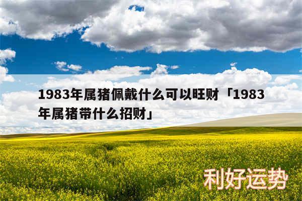 1983年属猪佩戴什么可以旺财及1983年属猪带什么招财