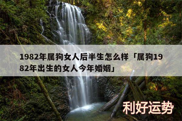 1982年属狗女人后半生怎么样及属狗1982年出生的女人今年婚姻