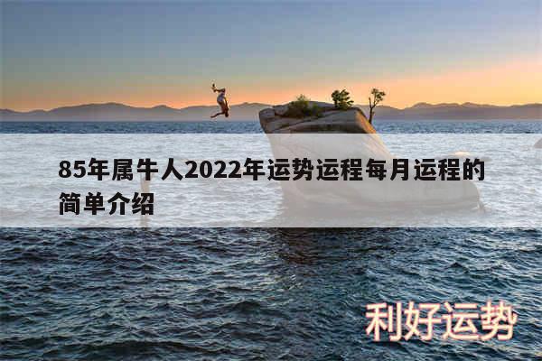 85年属牛人2024年运势运程每月运程的简单介绍