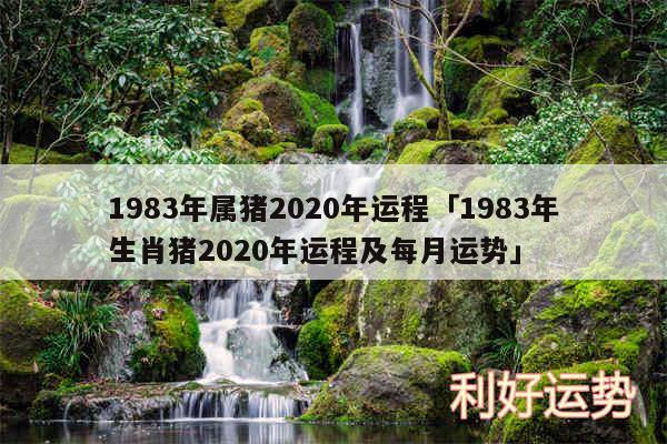 1983年属猪2020年运程及1983年生肖猪2020年运程及每月运势