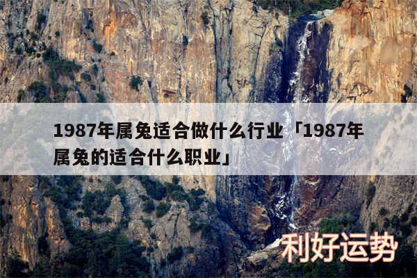 1987年属兔适合做什么行业及1987年属兔的适合什么职业