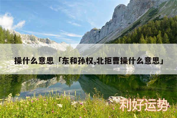 操什么意思及东和孙权,北拒曹操什么意思