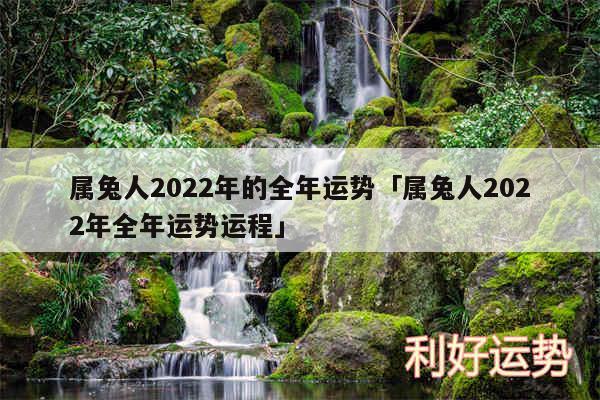 属兔人2024年的全年运势及属兔人2024年全年运势运程