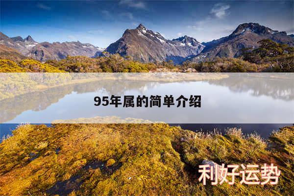 95年属的简单介绍