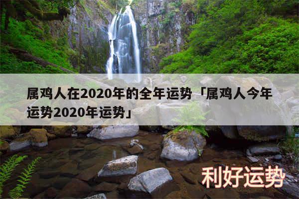 属鸡人在2020年的全年运势及属鸡人今年运势2020年运势