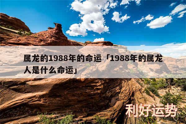 属龙的1988年的命运及1988年的属龙人是什么命运