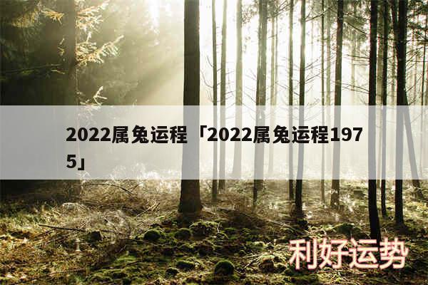 2024属兔运程及2024属兔运程1975