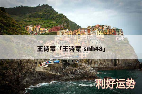 王诗蒙及王诗蒙 snh48