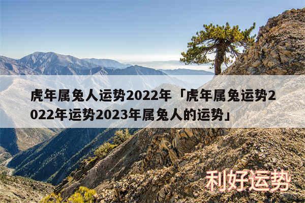 虎年属兔人运势2024年及虎年属兔运势2024年运势2024年属兔人的运势