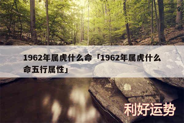 1962年属虎什么命及1962年属虎什么命五行属性