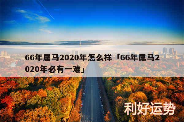 66年属马2020年怎么样及66年属马2020年必有一难