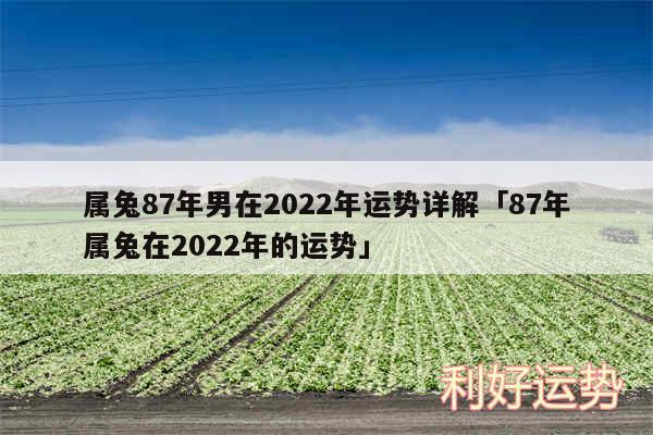 属兔87年男在2024年运势详解及87年属兔在2024年的运势