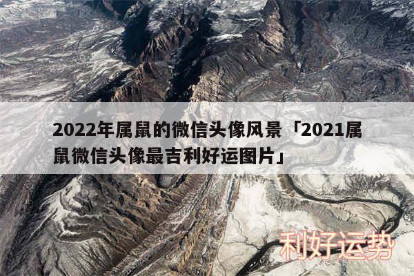 2024年属鼠的微信头像风景及2024属鼠微信头像最吉利好运图片