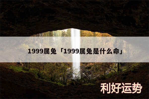 1999属兔及1999属兔是什么命
