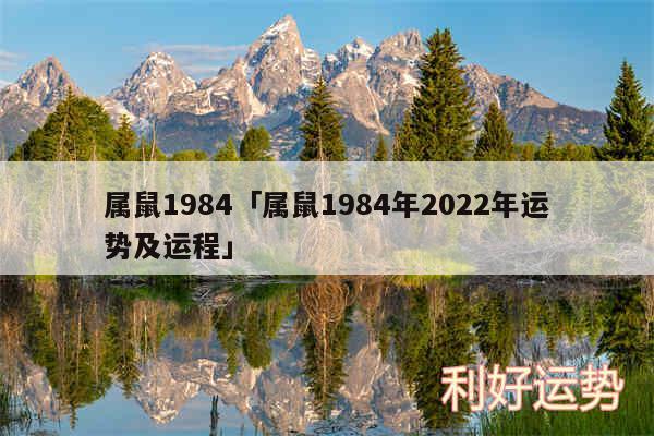 属鼠1984及属鼠1984年2024年运势及运程