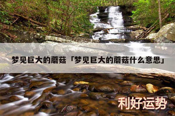 梦见巨大的蘑菇及梦见巨大的蘑菇什么意思
