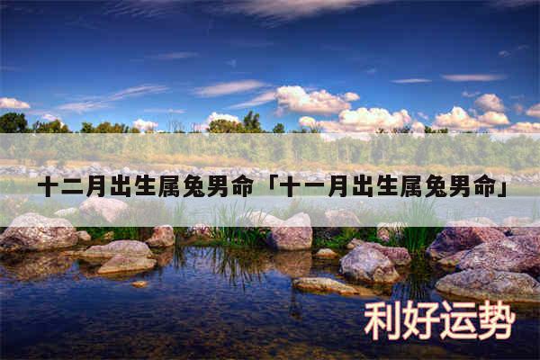十二月出生属兔男命及十一月出生属兔男命