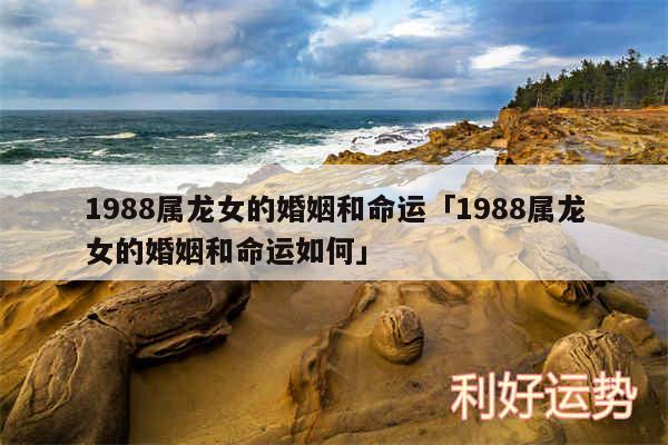 1988属龙女的婚姻和命运及1988属龙女的婚姻和命运如何