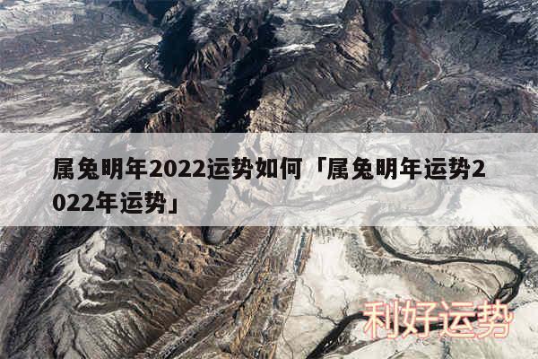 属兔明年2024运势如何及属兔明年运势2024年运势