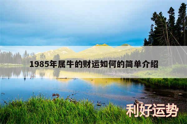 1985年属牛的财运如何的简单介绍