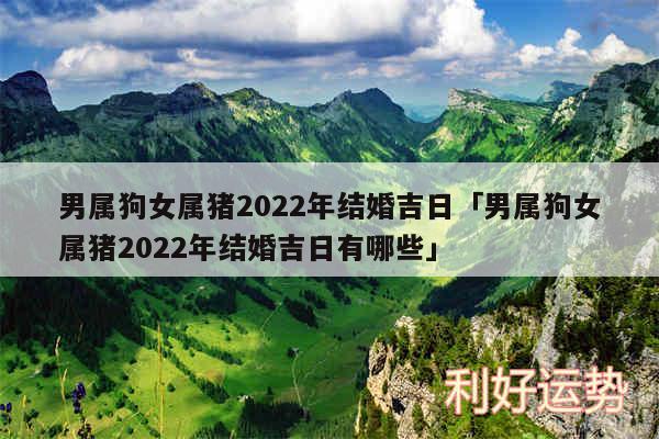 男属狗女属猪2024年结婚吉日及男属狗女属猪2024年结婚吉日有哪些