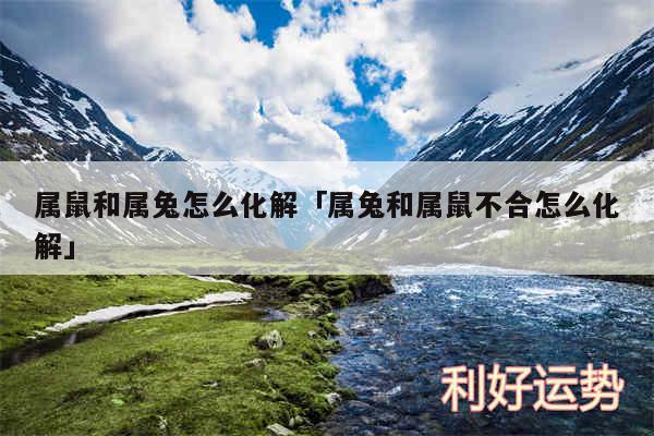 属鼠和属兔怎么化解及属兔和属鼠不合怎么化解