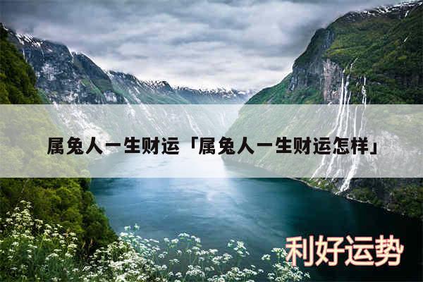 属兔人一生财运及属兔人一生财运怎样