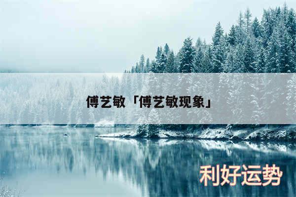 傅艺敏及傅艺敏现象