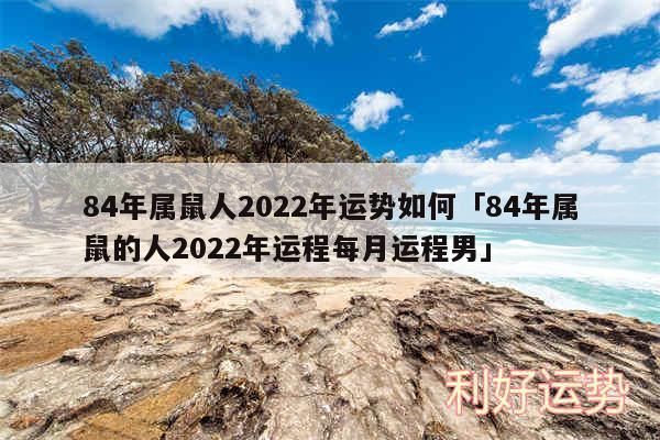 84年属鼠人2024年运势如何及84年属鼠的人2024年运程每月运程男